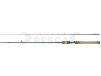 Caña Casting Dragon Flash XC40P LT Cast 21 Fast 2.13m 5-21g