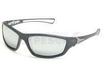 Solano Polarized Sunglasses FL 20056