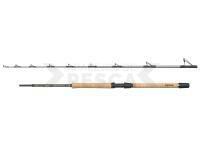 Caña Regiment IV Pro Boat 2.10m F 20-30lb 2Sec Conv