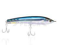 Señuelo Tiemco Salty Red Pepper 110mm 16g - #106 HG Slash Pacific Saury