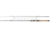 Caña Casting Dragon Flash XC40P LT Cast 21 Fast 1.98m 5-21g