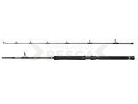 Caña Regiment IV Boat 2.10m F 12-20lb 2Sec Conv