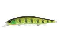 Señuelo DUO Realis Jerkbait 160SP 33g - AJA3055 Chart Gill Halo