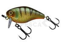 Señuelo Illex Chubby 41 SSR 4.1cm 5.7g - Aggressive Perch