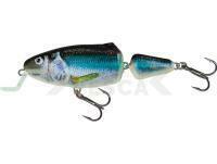 Salmo Frisky 7 SR - Holo Smelt