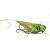 Imago Lures Hopper Flow